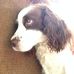 Profile Picture of Shoemaker Vicki (@shoemaker.vicki) on Facebook