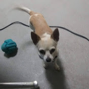 Profile Picture of Richard Samaniego (@richardsamaniego2177) on Youtube