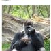 Profile Picture of Andrew Oak (@andrewoak) on Pinterest