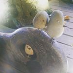 Profile Picture of Cheng Sum Yu (@minny_sy) on Instagram
