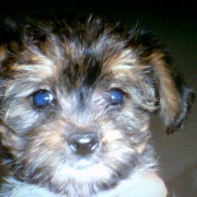 Profile Picture of Paige Mazza (@PMazza) on Twitter