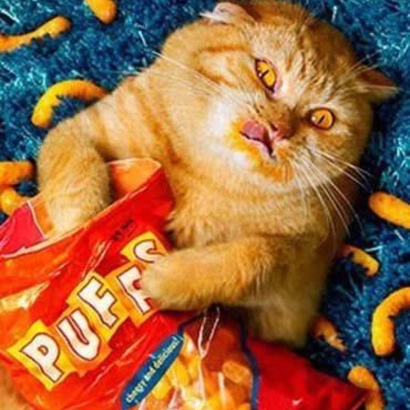 Profile Picture of Kim Compston (@kcompston17) on Poshmark