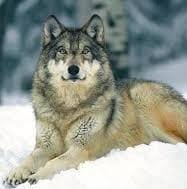 Profile Picture of Richard Lukács (@richard.lukacs.714) on Facebook