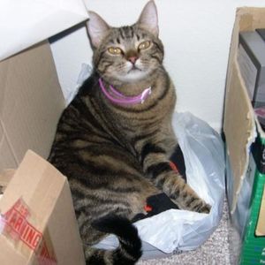 Profile Picture of Abby Person (@personas22) on Myspace
