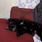 Profile Picture of James (@marzeen1) on Instagram