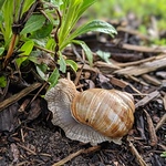 Profile Picture of Dexter Ian (@Dexter Ian) on Flickr