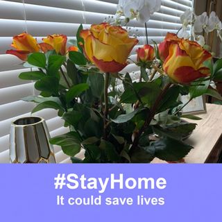 Profile Picture of Nancy Roehm (@nancy.roehm.10) on Facebook