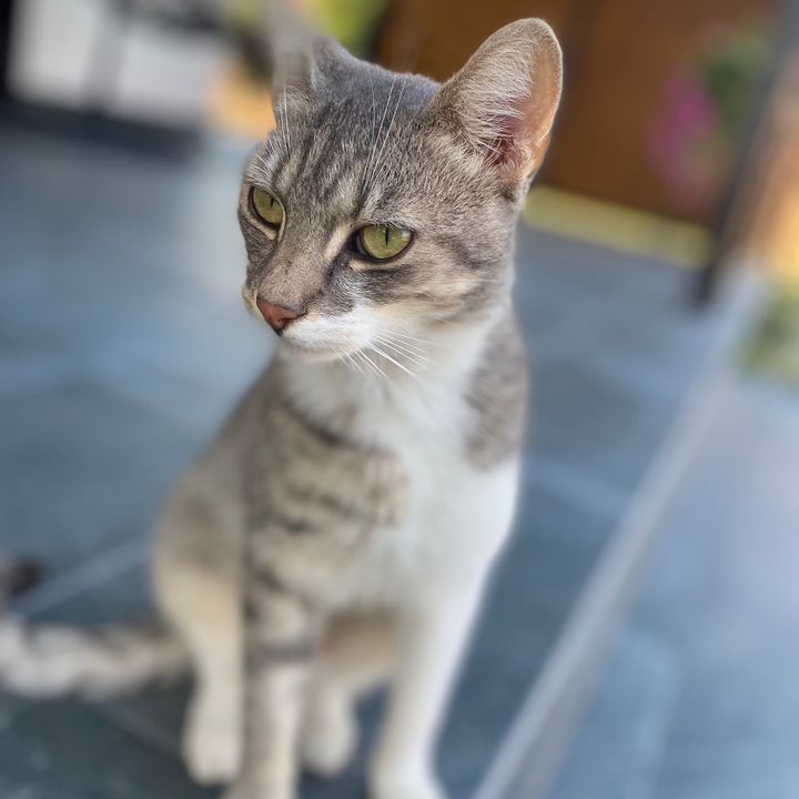 Profile Picture of Iva Šapina (@iva.sapina) on Tiktok
