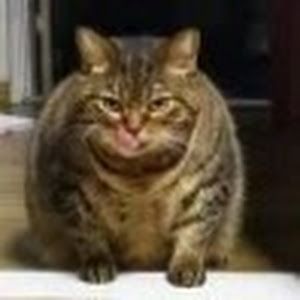 Profile Picture of Matthew Wolcott (@matthew.wolcott) on Tiktok