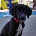 Profile Picture of Michael Reitz (@michael.reitz.3363) on Facebook