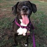 Profile Picture of Annie Pendleton (@littleorphananniekins) on Instagram