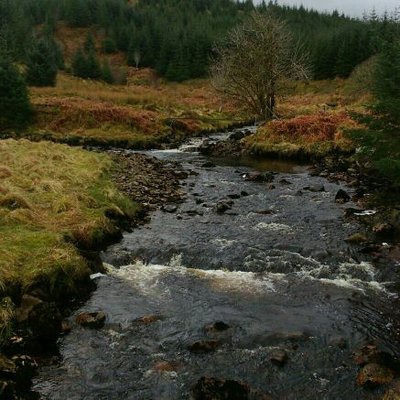 Profile Picture of Pat Jarvis (@powyslass) on Twitter
