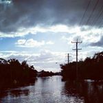 Profile Picture of Ash David Mabbott (@ricetoasty) on Instagram