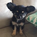 Profile Picture of Theodore Thornton (@theodorable_ted) on Instagram