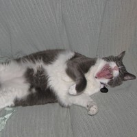 Profile Picture of Chris Bogart (@chris-bogart-3) on Quora