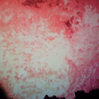 Profile Picture of Derrick Vaughn (@DerrickVaugn) on Twitter