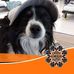 Profile Picture of Dawn Frazer (@dawn.frazer.125) on Facebook