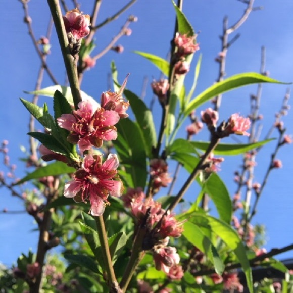 Profile Picture of Kate Vaughn (@katevaughn6) on Poshmark