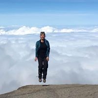 Profile Picture of Laurence Perlstein (@laperl2016) on Pinterest