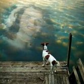 Profile Picture of Renee Johnson (@hughesrenee) on Pinterest