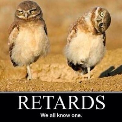 Profile Picture of Troy Shaffer (@thunderfantnt) on Twitter