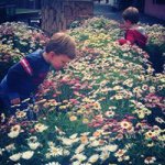 Kate Cantrell - Instagram Profile Picture of Kate Cantrell (@kcantrell1111) on Instagram