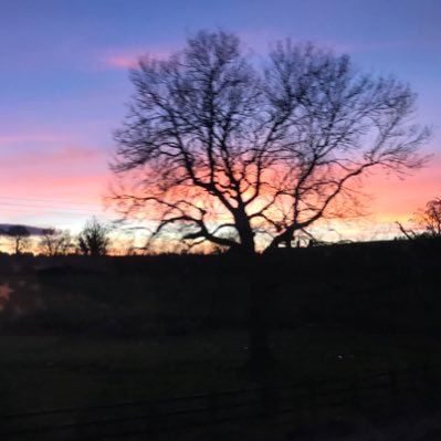 Profile Picture of YutongZhang (@YutongZhang14) on Twitter