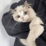 Profile Picture of Huda Alhayali (@NoorAlhene) on Facebook