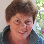 Profile Picture of Suzanne Sampson (@suzsamp) on Instagram