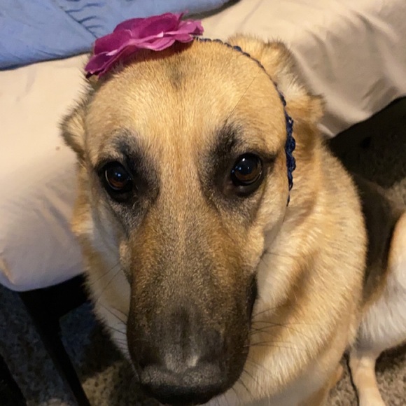 Profile Picture of Seth Hinkle (@shinkle08) on Poshmark