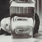 Hector Almaguer - Instagram Profile Picture of Hector Almaguer (@halmaguer) on Instagram