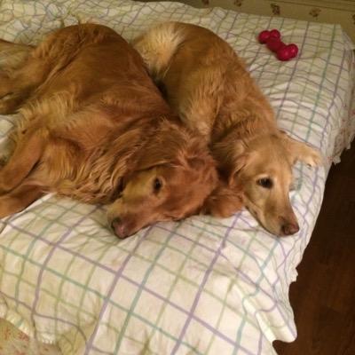 Profile Picture of Tracy Levy (@tracylevy75) on Twitter