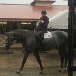 Profile Picture of Phyllis Cervelli (@phylliscervelli) on Instagram