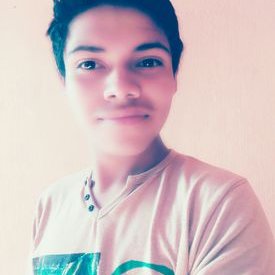 Profile Picture of Harold Perez (@haroldperez101) on Twitter