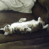 Profile Picture of Mike Mai (@mike-mai-4) on Quora