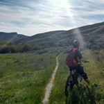 Profile Picture of Doug Wick (@doug.wick) on Instagram