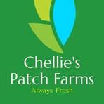 Chellie's Patch Farms - Facebook Profile Picture of Chellie's Patch Farms (@chelliespatch) on Facebook