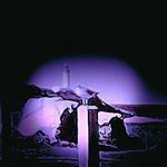 Profile Picture of Adam Blackford (@adam.blackford) on Instagram