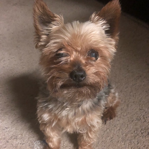 Profile Picture of Carri Masingo (@emasingo) on Poshmark