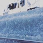 Profile Picture of Argo2 (@albert_h2018) on Instagram