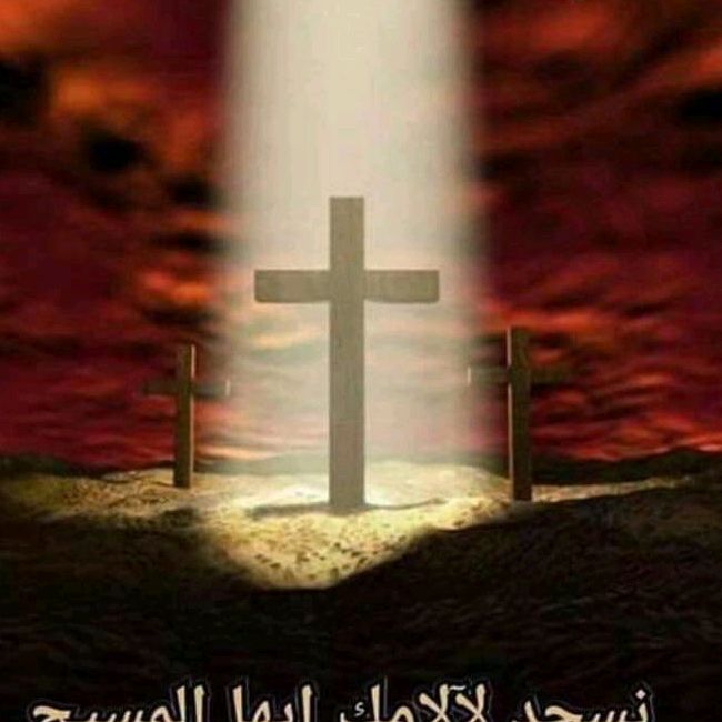 Pierre Hanna - Tiktok Profile Picture of Pierre Hanna (@@pierrehanna) on Tiktok