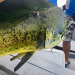 Profile Picture of Gabriel Mayorga (@viajes_turisticos_puntachame) on Instagram