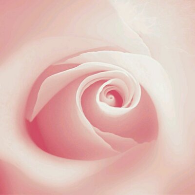 Profile Picture of Carolina Monteiro (@carolina_carol5) on Twitter
