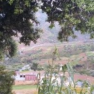 Profile Picture of Mansour Rafik (@MansourRafik1) on Twitter