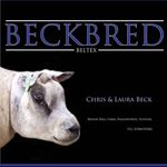 Profile Picture of Beckbred Beltex & Blues (@beckbred.beltex) on Instagram