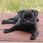 Profile Picture of Nathaniel Ayala (@ayalanathaniel) on Instagram