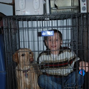 Profile Picture of Collin Francis Bentley (@Collin30871) on Youtube