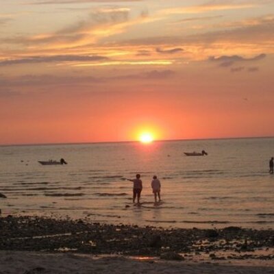 Profile Picture of Charles Sumner (@capecodsbest) on Twitter
