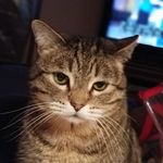 Profile Picture of Paula Hansen (@paulahansen971) on Instagram