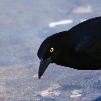 John Harmon - Twitter Profile Picture of John Harmon (@JohnHarmon821) on Twitter